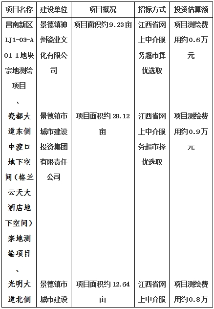 景德鎮(zhèn)市昌南新區(qū)LJ1-03-A01-1地塊、瓷都大道東側(cè)中渡口地下空間（格蘭云天大酒店地下空間）、光明大道北側(cè)利民路西側(cè)地下空間（青少年宮地下空間）、規(guī)劃二路北側(cè)地下空間地塊二（加速基地地下空間）、規(guī)劃二路北側(cè)地下空間地塊一（加速基地地下空間）、景德大道南側(cè)天寶橋西側(cè)地塊、景興大道東側(cè)如意路北側(cè)地下空間(社會(huì)公共服務(wù)