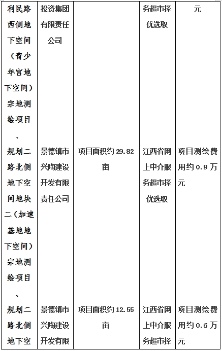 景德鎮(zhèn)市昌南新區(qū)LJ1-03-A01-1地塊、瓷都大道東側(cè)中渡口地下空間（格蘭云天大酒店地下空間）、光明大道北側(cè)利民路西側(cè)地下空間（青少年宮地下空間）、規(guī)劃二路北側(cè)地下空間地塊二（加速基地地下空間）、規(guī)劃二路北側(cè)地下空間地塊一（加速基地地下空間）、景德大道南側(cè)天寶橋西側(cè)地塊、景興大道東側(cè)如意路北側(cè)地下空間(社會(huì)公共服務(wù)