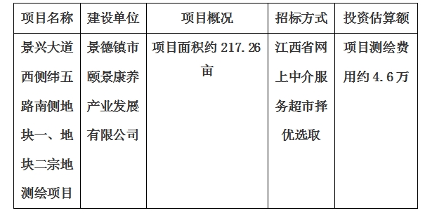 景興大道西側(cè)緯五路南側(cè)地塊一、地塊二宗地